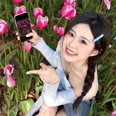 二十不惑2